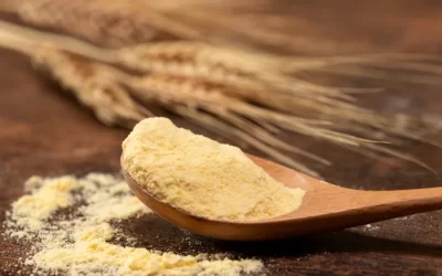 Semolina – co to za mąka z pszenicy durum?