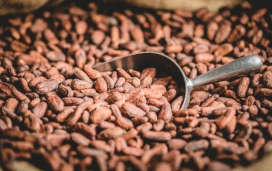 Superfoods - co warto wiedzieć?